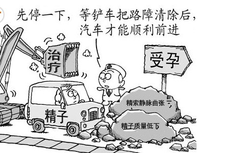 河池精索静脉曲张引起不育的原因